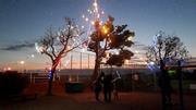 式見公園でイルミネーション点灯式が行われました。（令和3年12月5日）の画像3