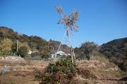 四杖町田舎地区で「おんのべー」（鬼火焚き）が開催されました。（令和2年1月4日）の画像1