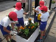 老人クラブと式見小学校で花の苗を植えました。（令和元年6月17日）の画像3