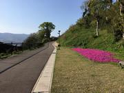 ねずみ島 上り口