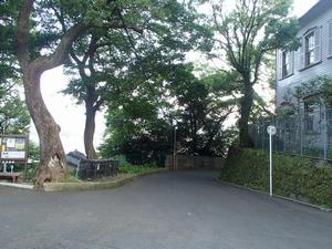 旧スチイル記念学校横（着工前）の画像