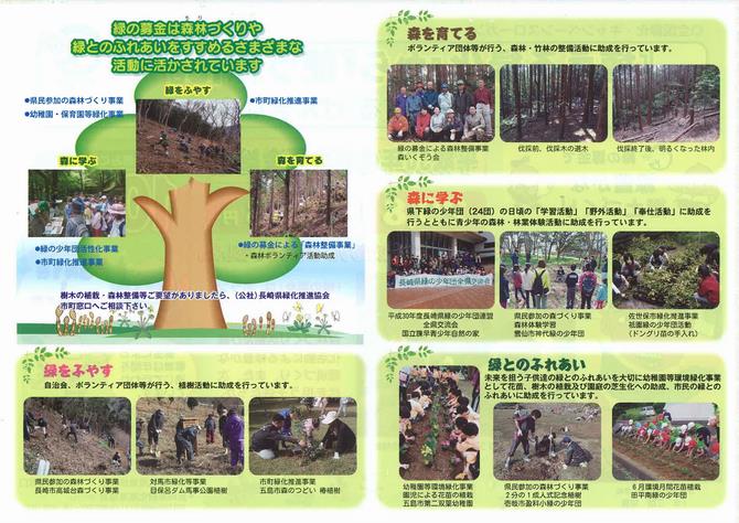 「議場でつけている緑の羽根はどんな意味があるの？」の画像2