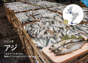 アジ