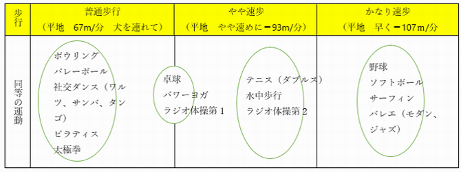 身体活動表
