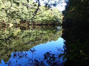 桂山ため池