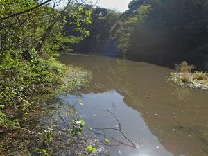 丸山ため池