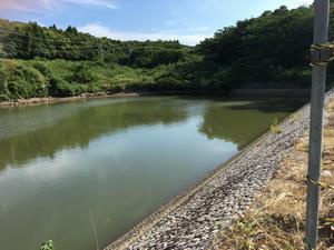 運動公園堤