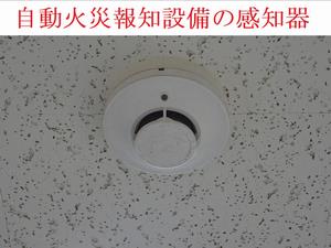 感知器