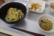 H29骨太