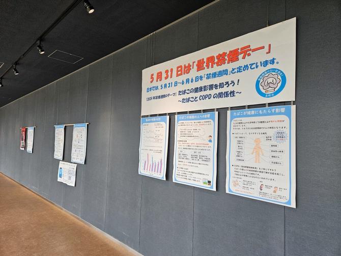 R6市役所19階