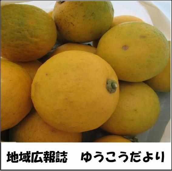 ゆうこうだよりのリンクボタン