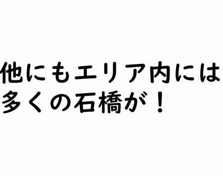 他にもエリア内には 多くの石橋が!の画像