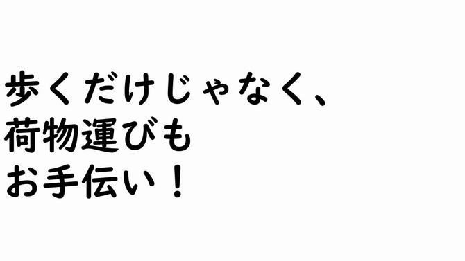 歩くだけじゃなく、荷物運びも お手伝い!の画像