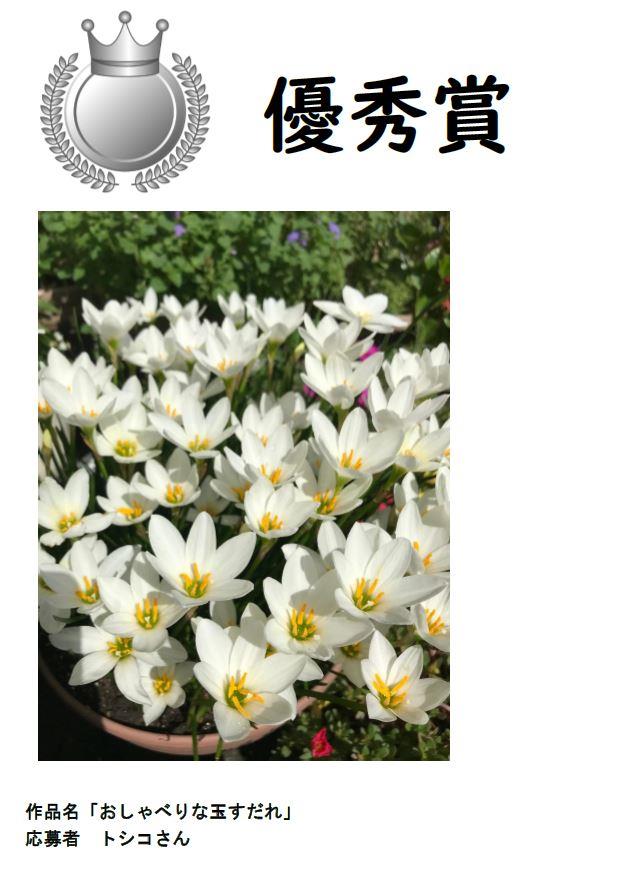 コンテナ優秀