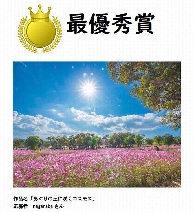 自由最優秀