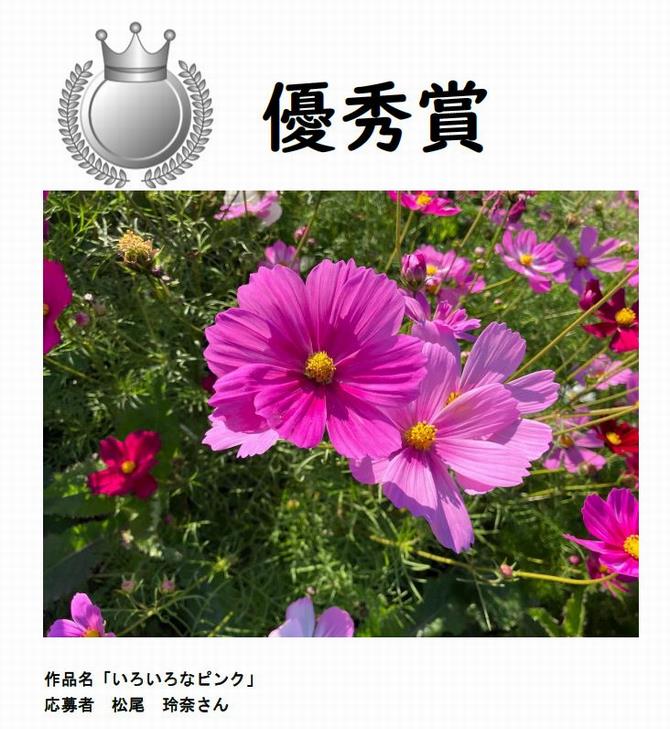 自由優秀
