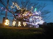 橘イルミの画像8