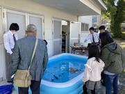 水中ロボット