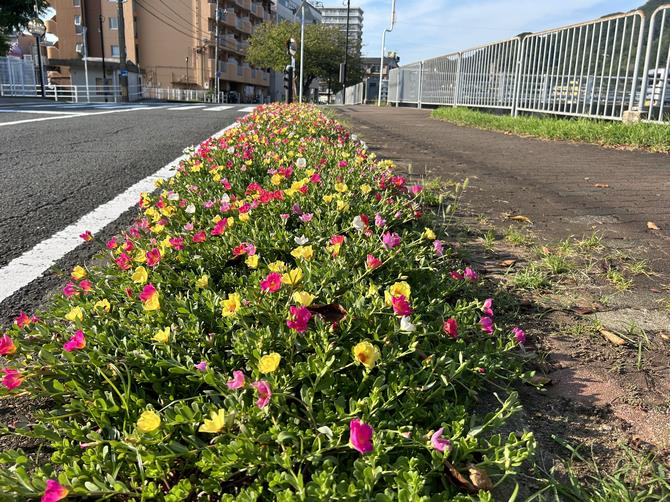 八郎川沿いの花壇の画像