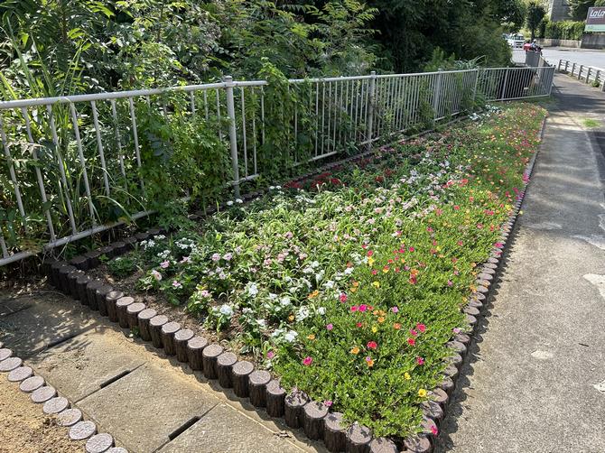 普賢神社入口交差点付近の花壇の画像2