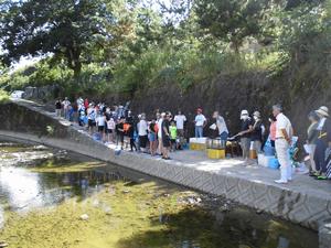 八郎川の生物学習会の画像1