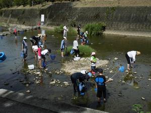 八郎川の生物学習会の画像2