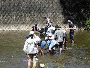 八郎川の生物学習会の画像7