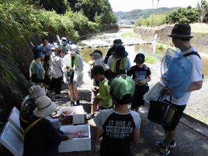 八郎川の生物学習会の画像8
