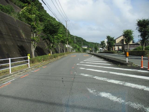 街路樹選定2