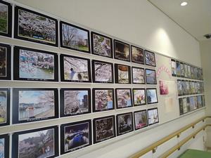 展示東公民館