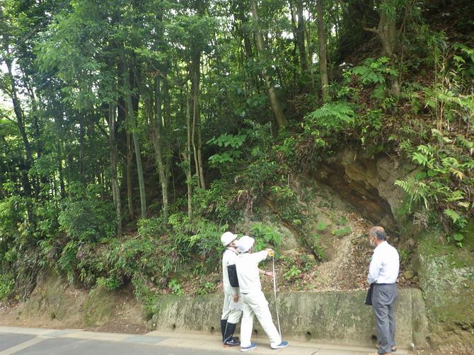 古賀地区