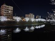 郎川沿いの桜の夜の画像1