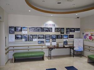 写真展
