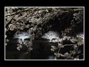フォトコン6