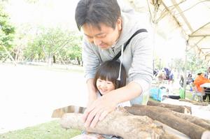 木工工作の様子