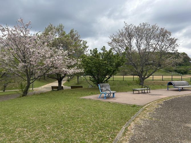 東公園の画像2