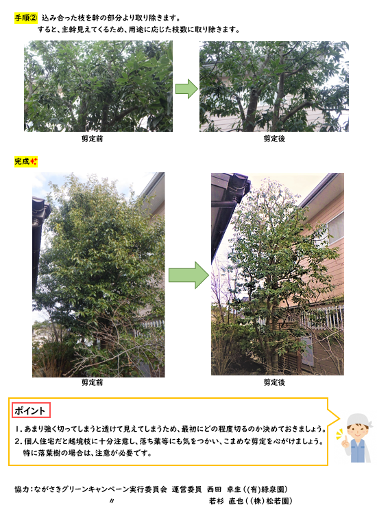 剪定方法2