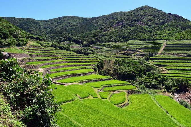 地方に移住して仕事はあるの？の画像