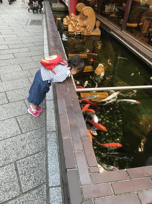長崎市役所のモニターであなたの写真を放映してみませんか？の画像1