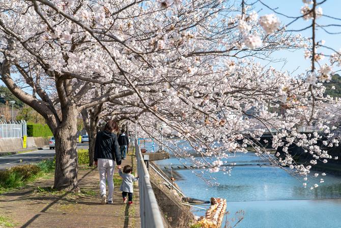 桜の季節のまち歩きマップの画像