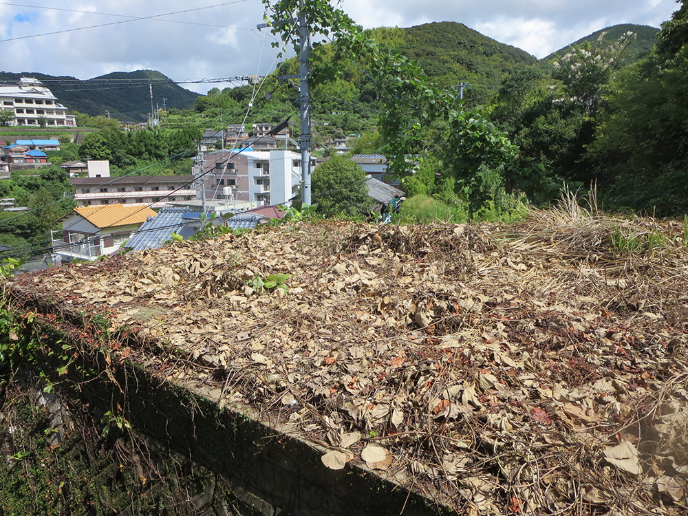 【売買】シーボルト記念館近くの宅地の画像3