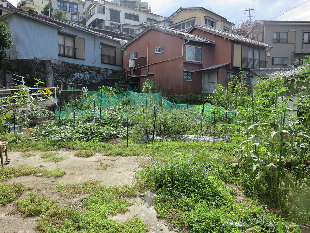 【売買】家庭菜園可能な斜面地の宅地の画像4