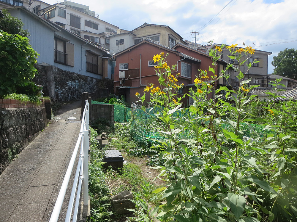 【売買】家庭菜園可能な斜面地の宅地の画像5