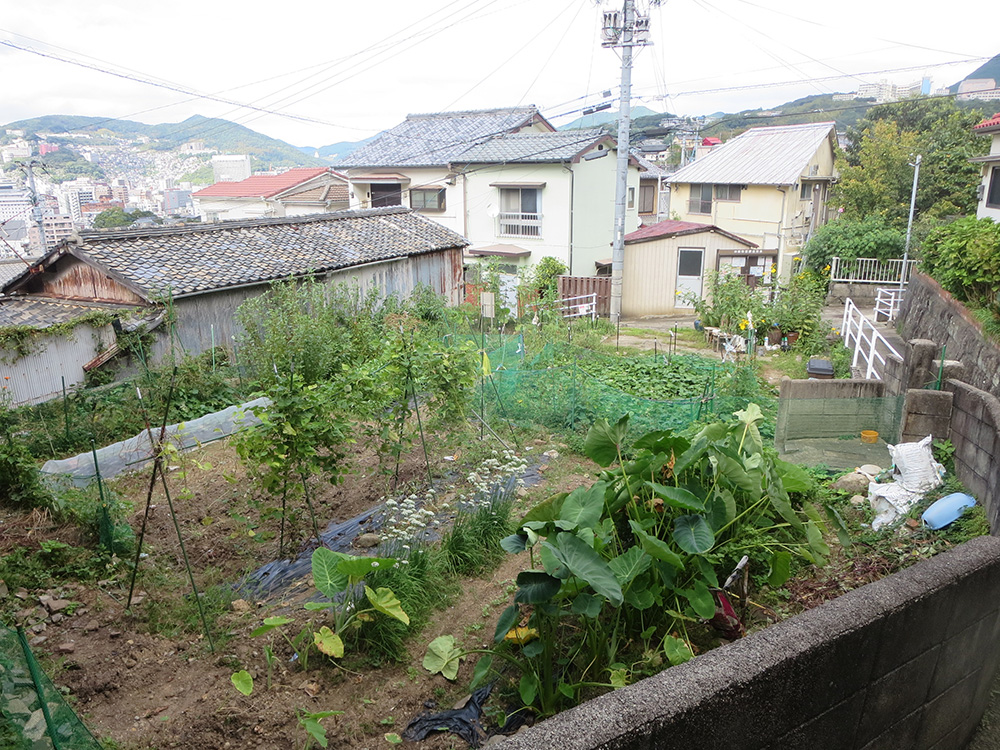 【売買】家庭菜園可能な斜面地の宅地の画像6