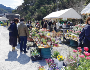 春の植木市