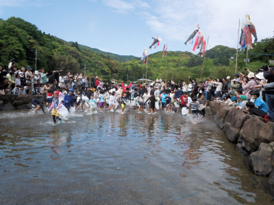 鯉・来い祭り