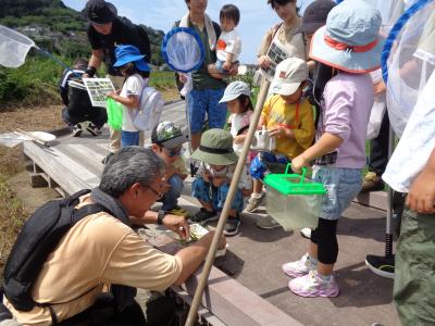 生きもの採取の様子
